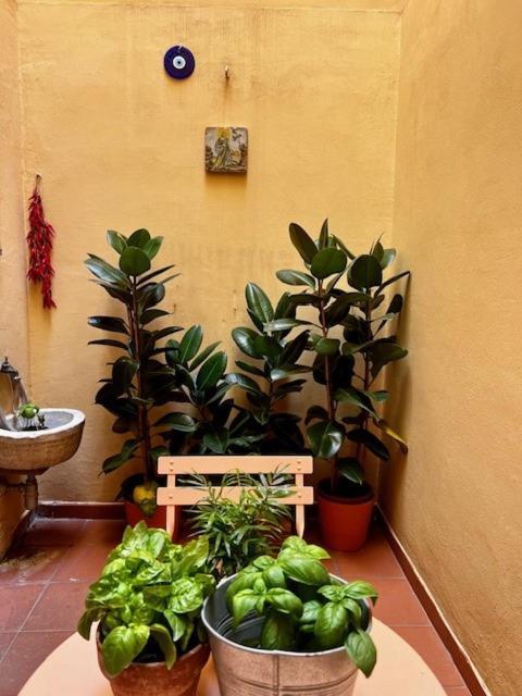 La Casa Dei Librai * Napoli