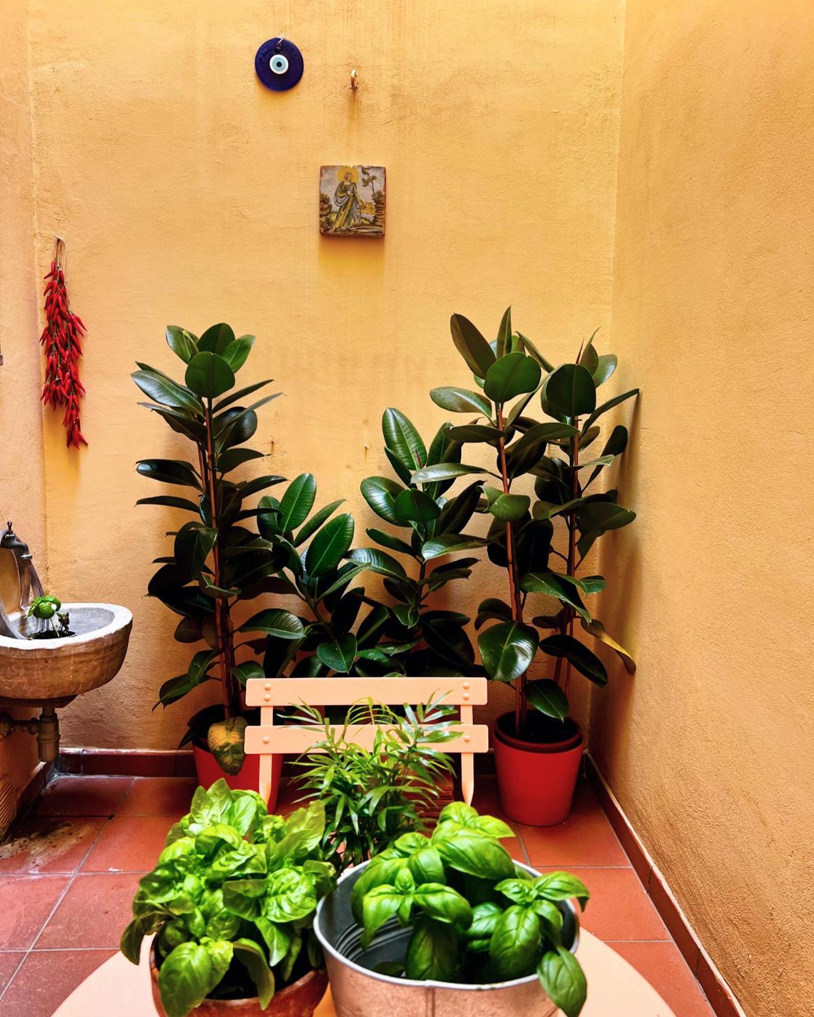 Appartamento La Casa Dei Librai Napoli